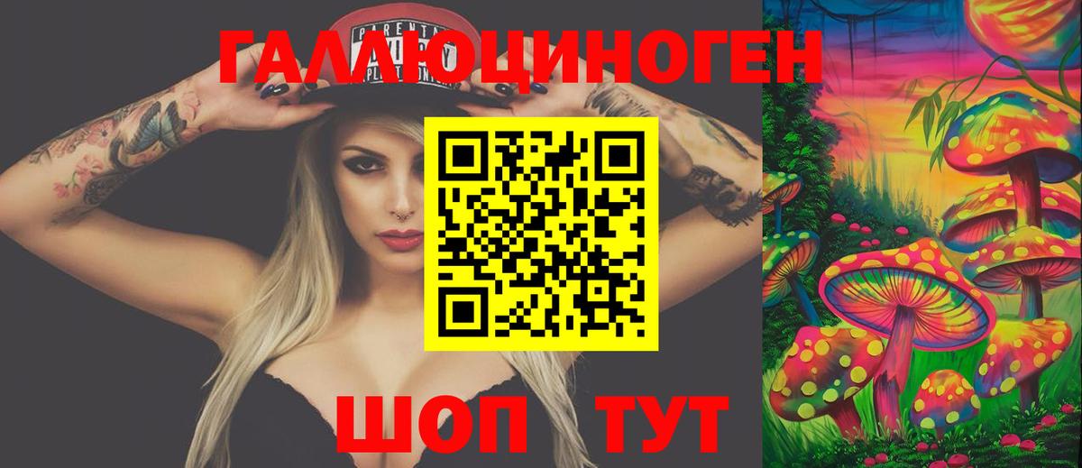 Белгород  Псилоцибиновые грибы Psilocybe  Вход с VPN 